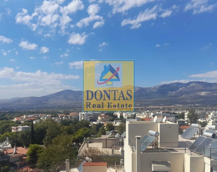 Gallery image 10
