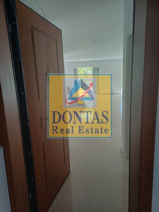 Gallery image 11