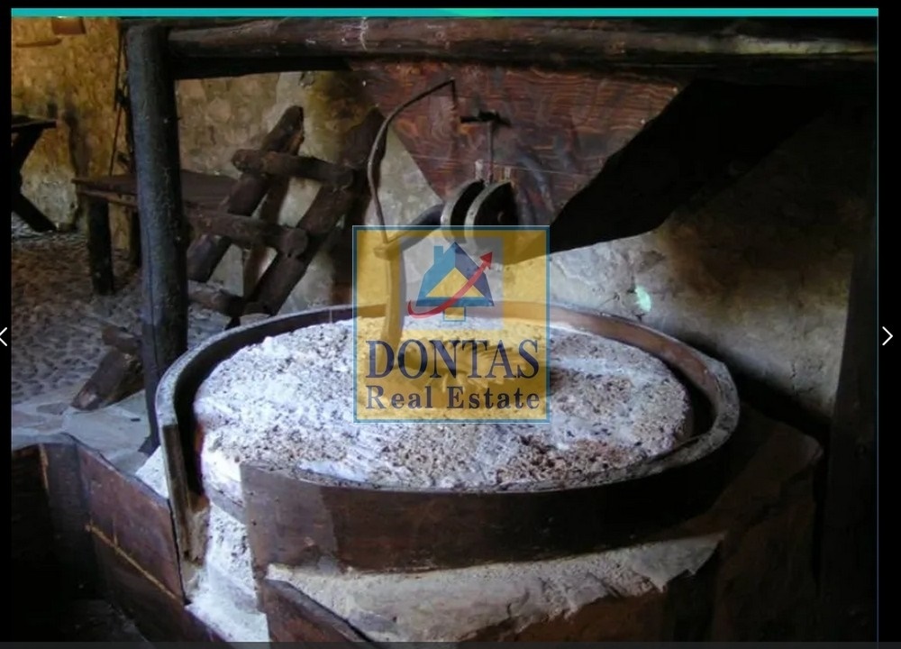 Gallery image 5