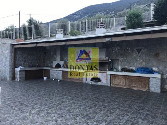 Gallery image 25