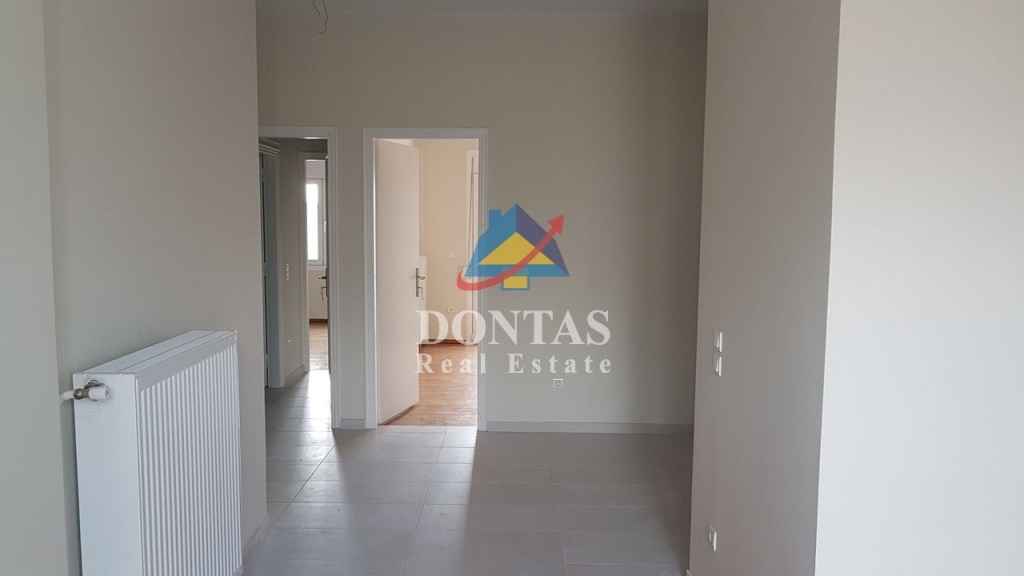 Gallery image 15