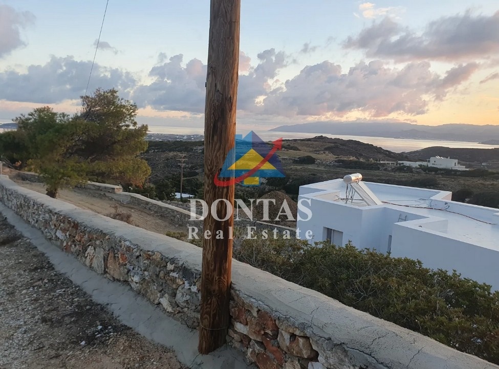 Gallery image 14