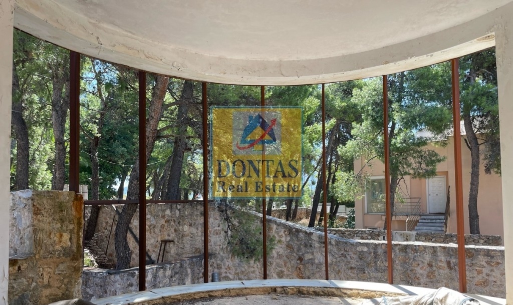Gallery image 11