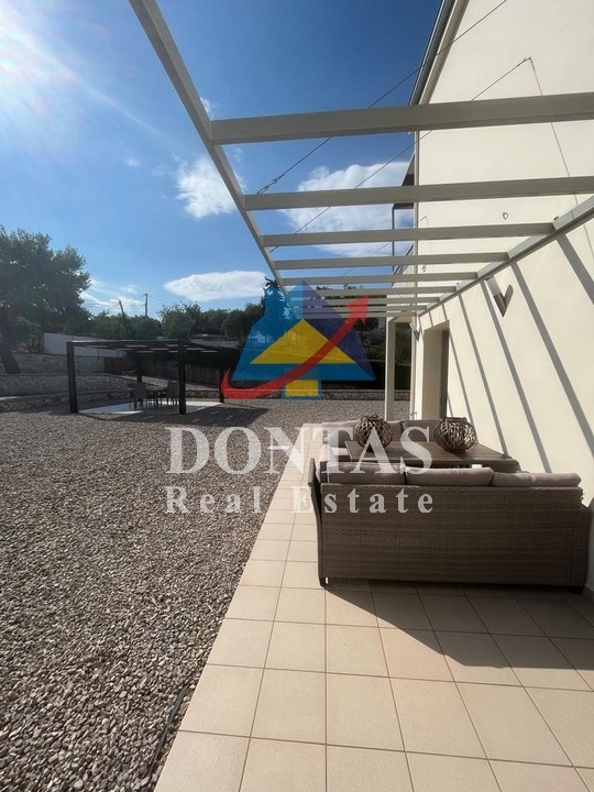 Gallery image 9