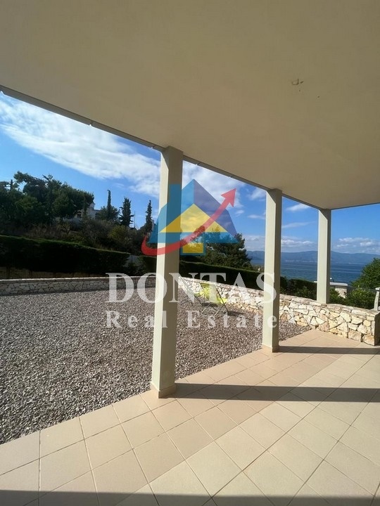 Gallery image 14