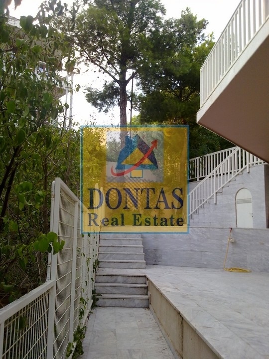 Gallery image 10