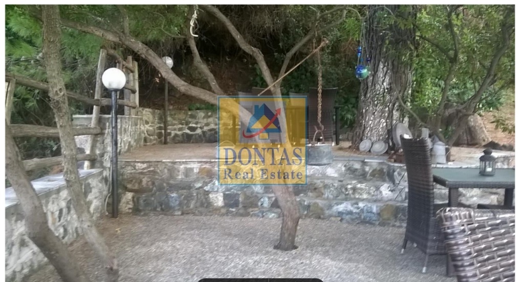 Gallery image 12