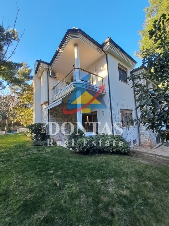 Gallery image 6