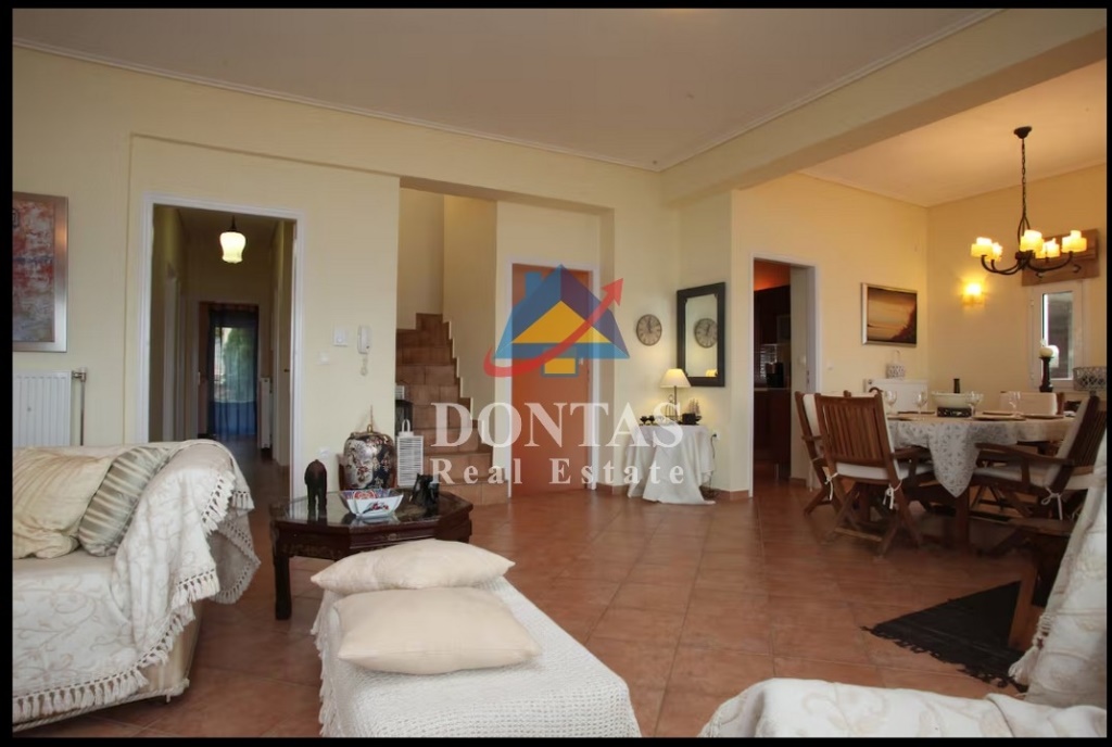 Gallery image 16