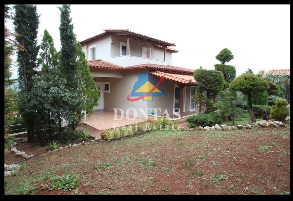 Gallery image 26
