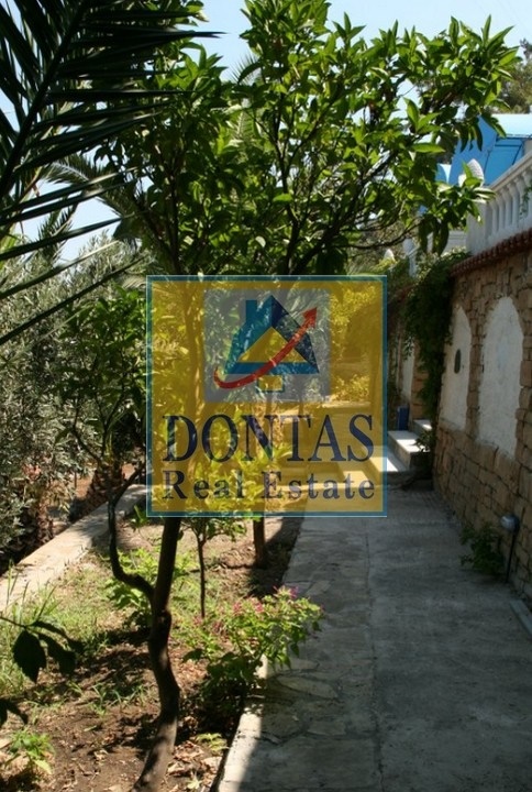 Gallery image 19