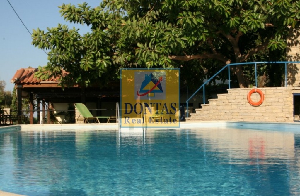 Gallery image 20