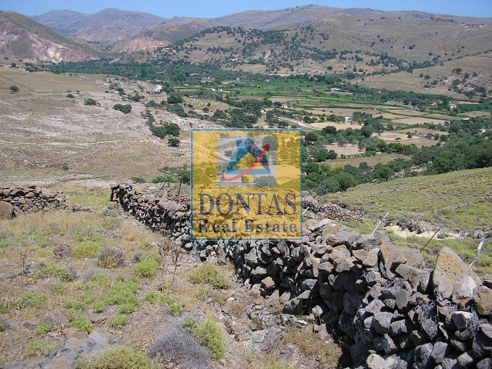 Gallery image 10
