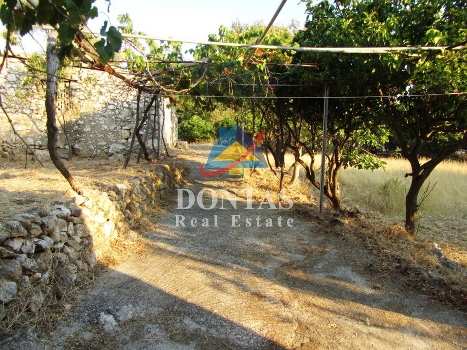 Gallery image 8