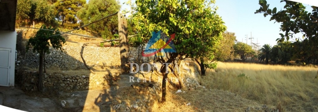 Gallery image 9