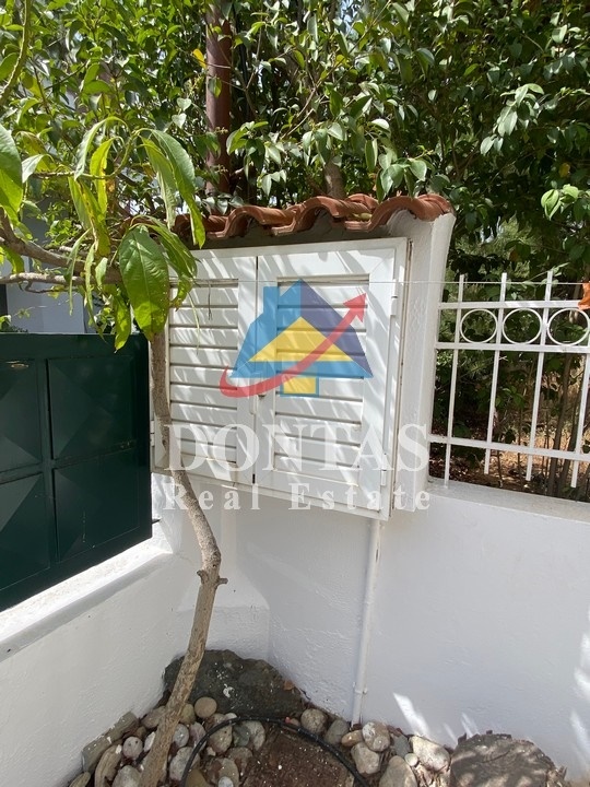 Gallery image 11