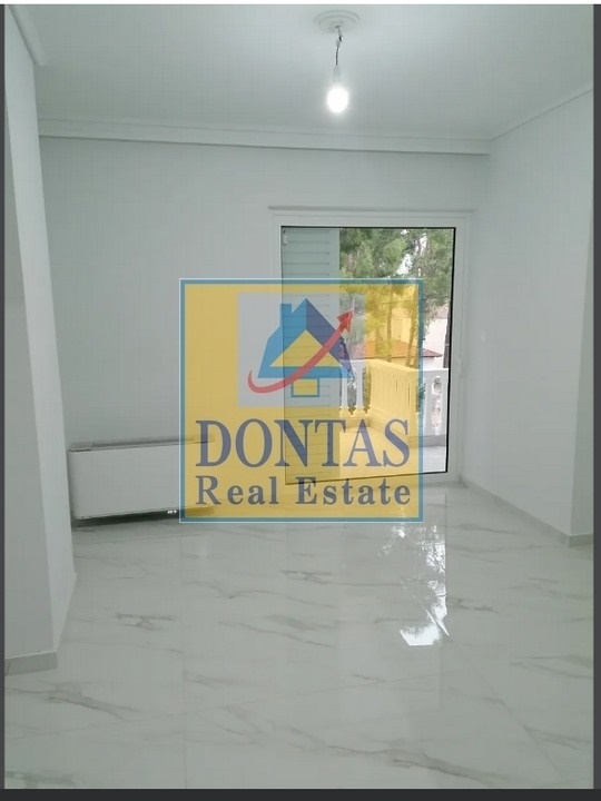 Gallery image 16