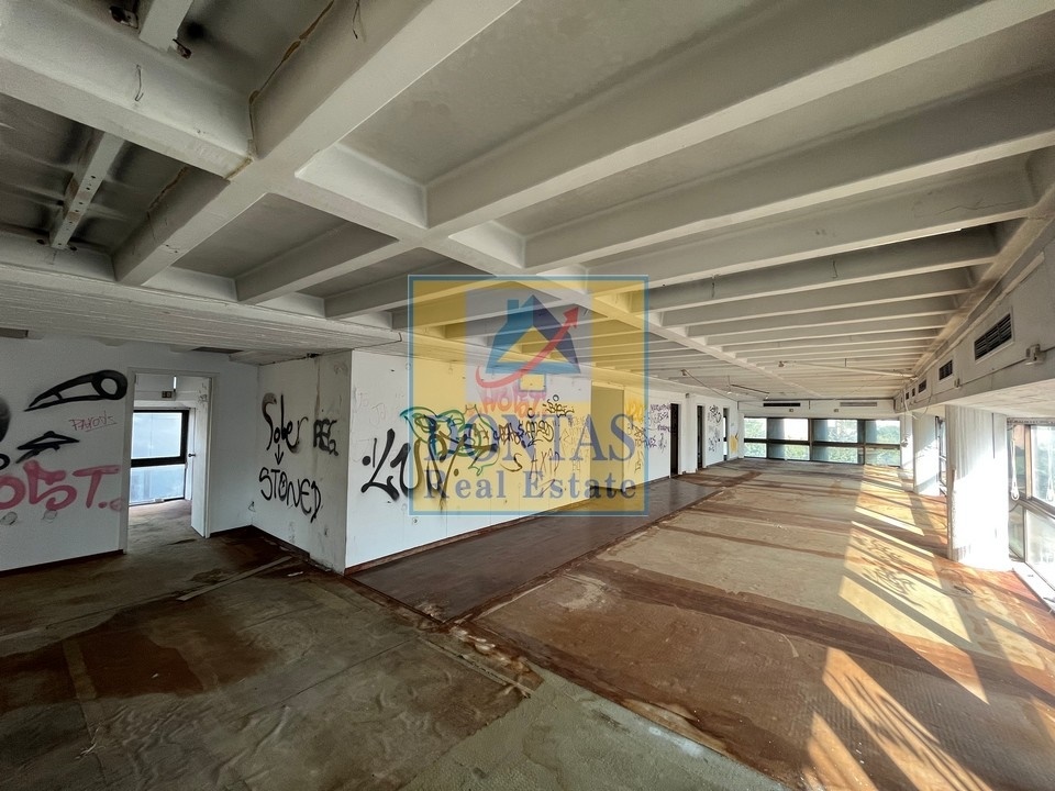 Gallery image 12