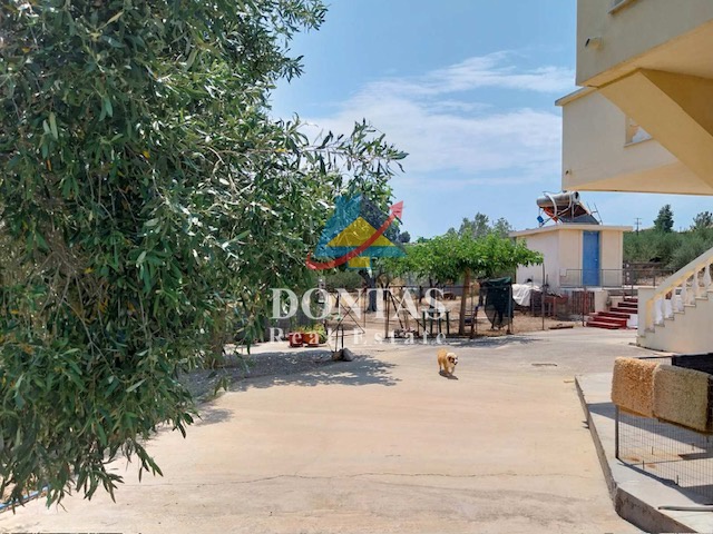 Gallery image 6