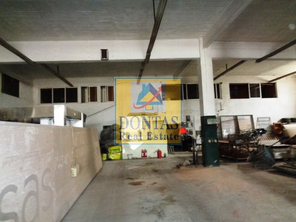Gallery image 6