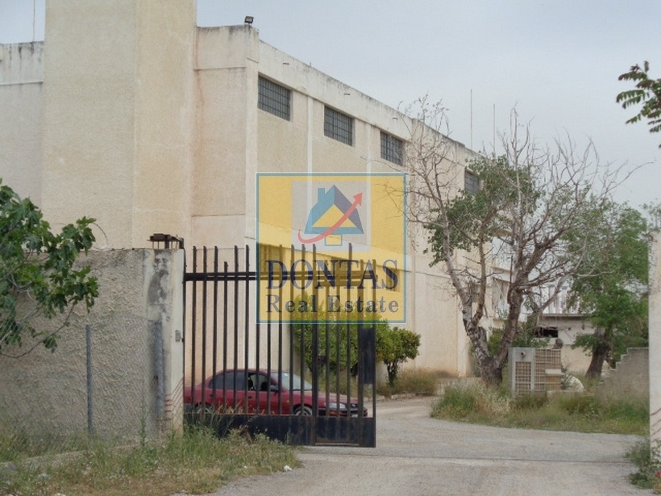 Gallery image 4
