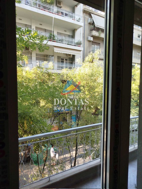 Gallery image 25