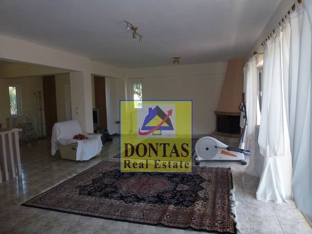 Gallery image 7