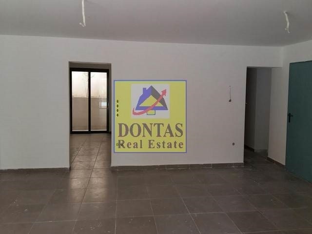 Gallery image 11