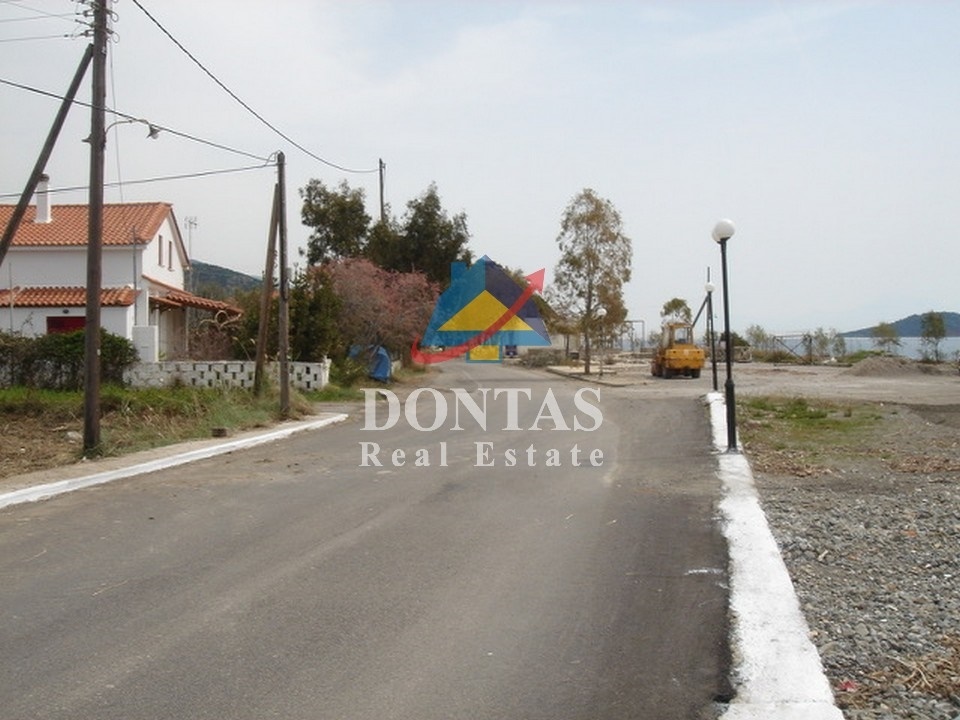 Gallery image 6