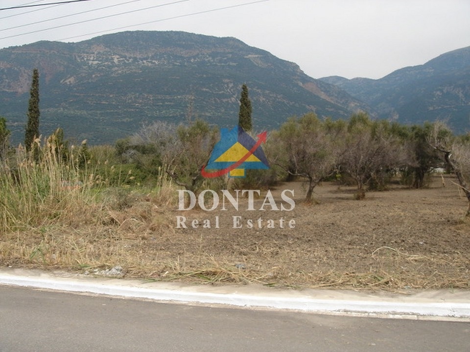 Gallery image 8