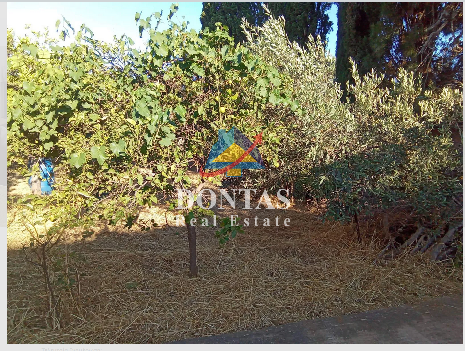 Gallery image 11