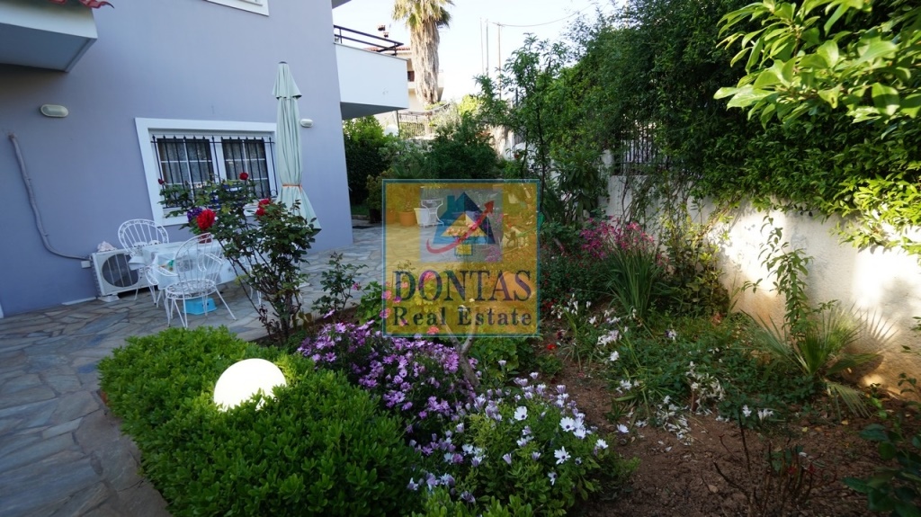 Gallery image 21