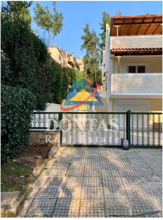 Gallery image 38