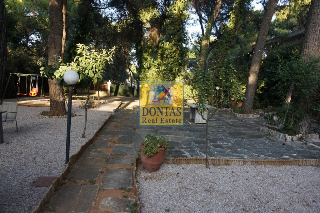 Gallery image 9