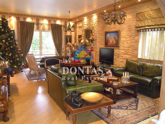 Gallery image 8
