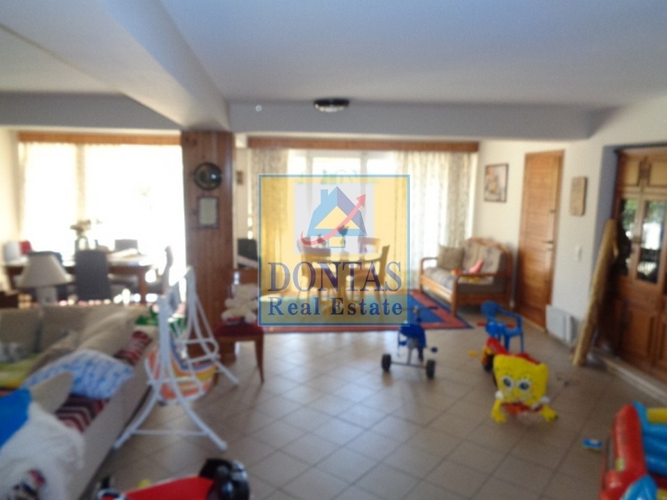 Gallery image 11