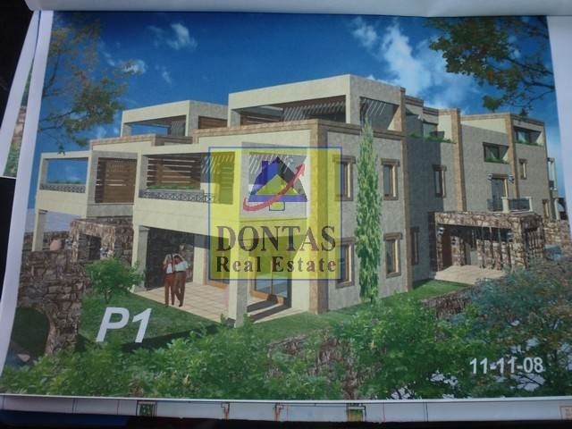 Gallery image 12