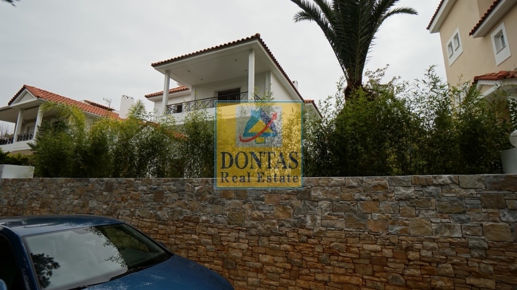 Gallery image 11
