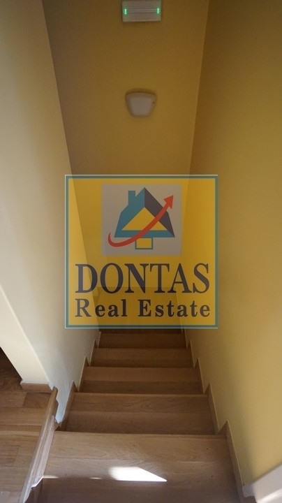 Gallery image 13