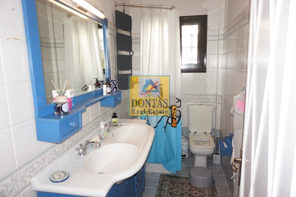 Gallery image 11