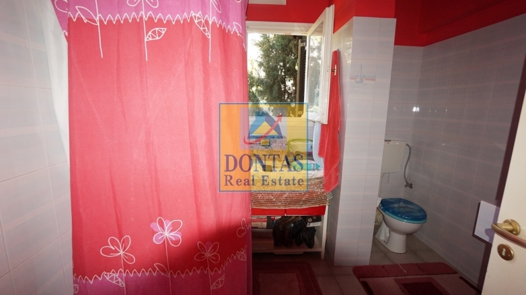 Gallery image 13