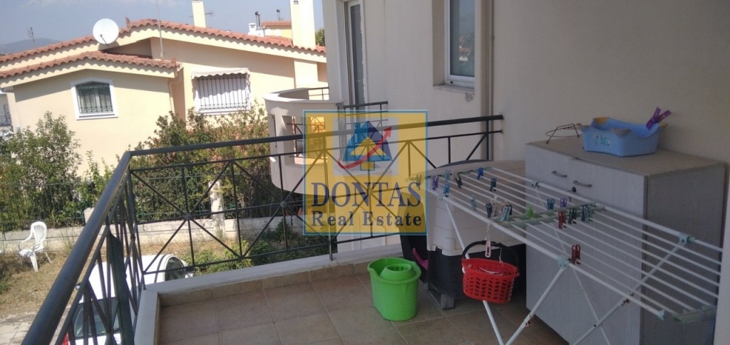Gallery image 10
