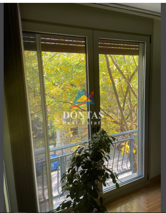 Gallery image 14