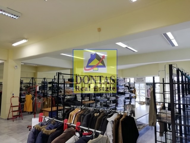 Gallery image 13