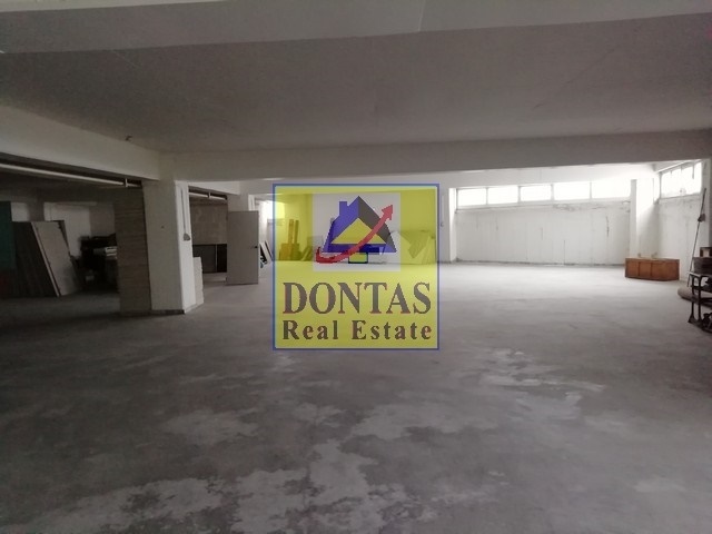 Gallery image 14