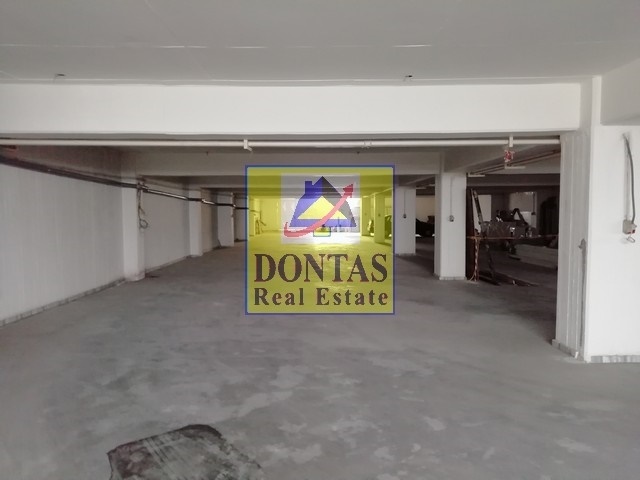Gallery image 12
