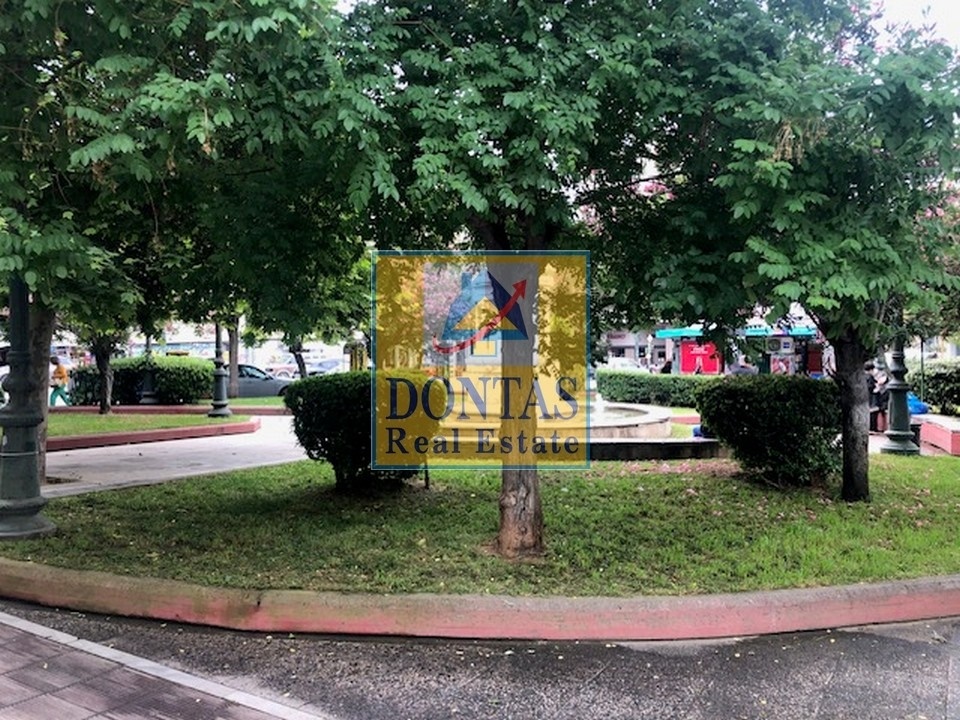 Gallery image 23