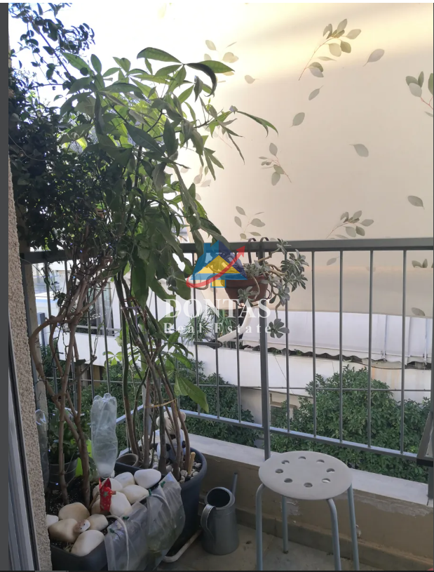 Gallery image 13