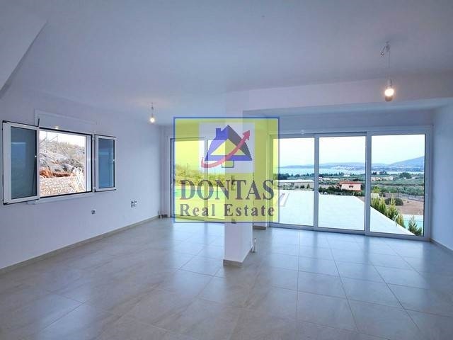 Gallery image 12