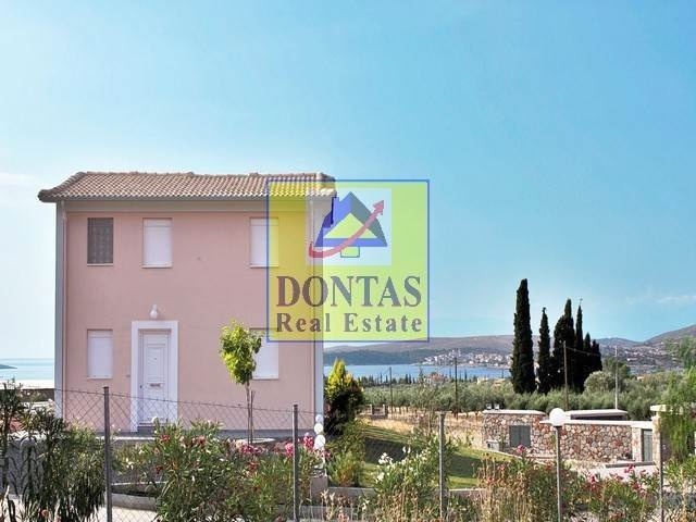 Gallery image 7